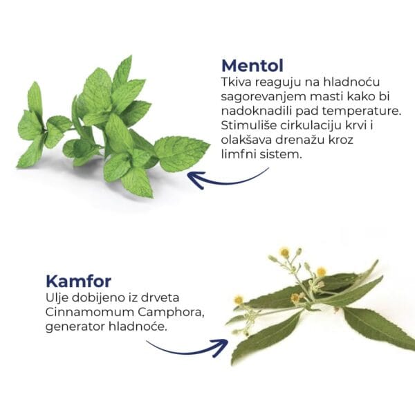 Krioslim, 500 ml – ANESI LAB